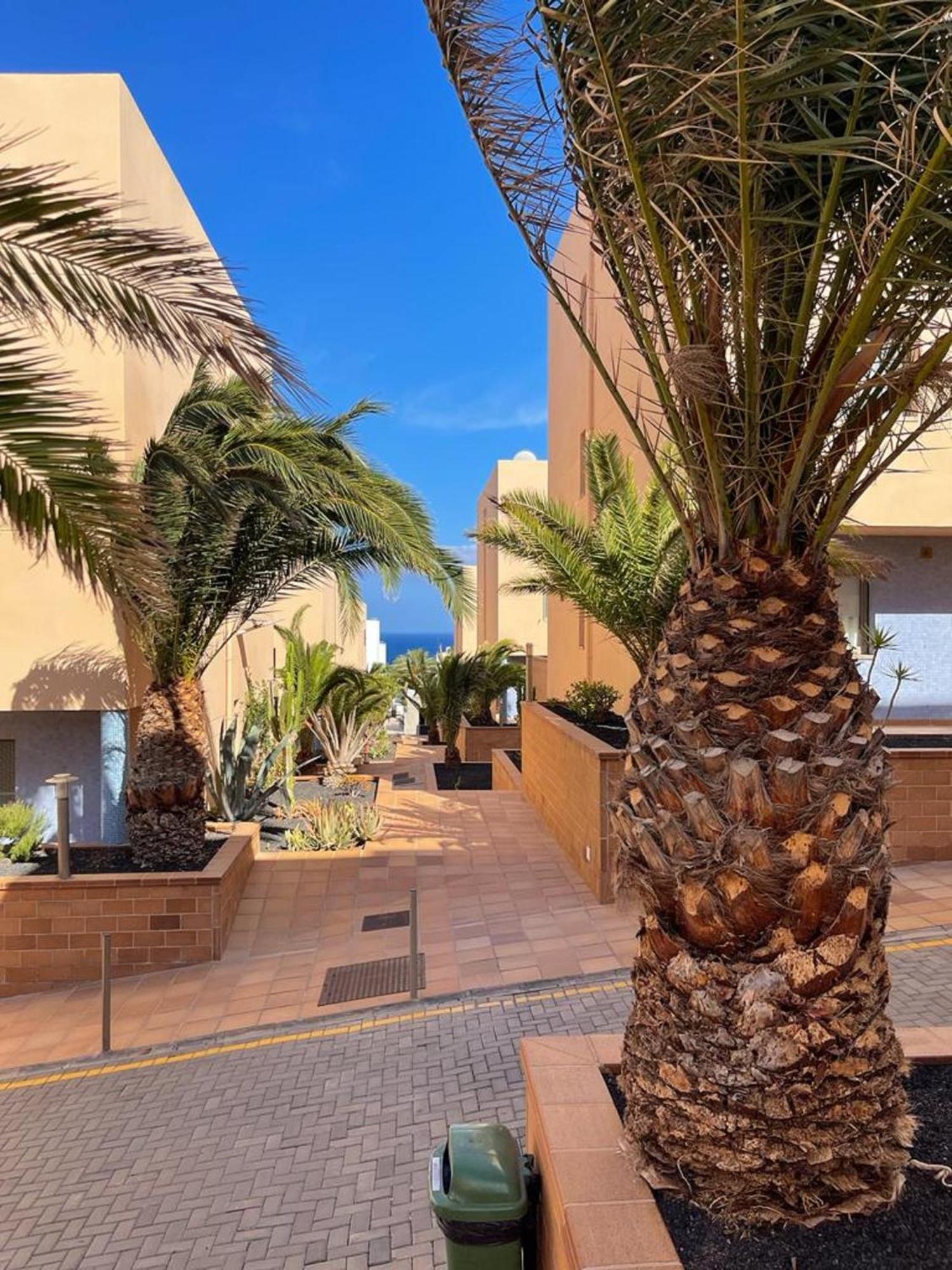Casa Reina Apartment Jandia  Exterior photo